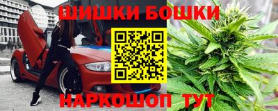 PSILOCYBIN Камышлов