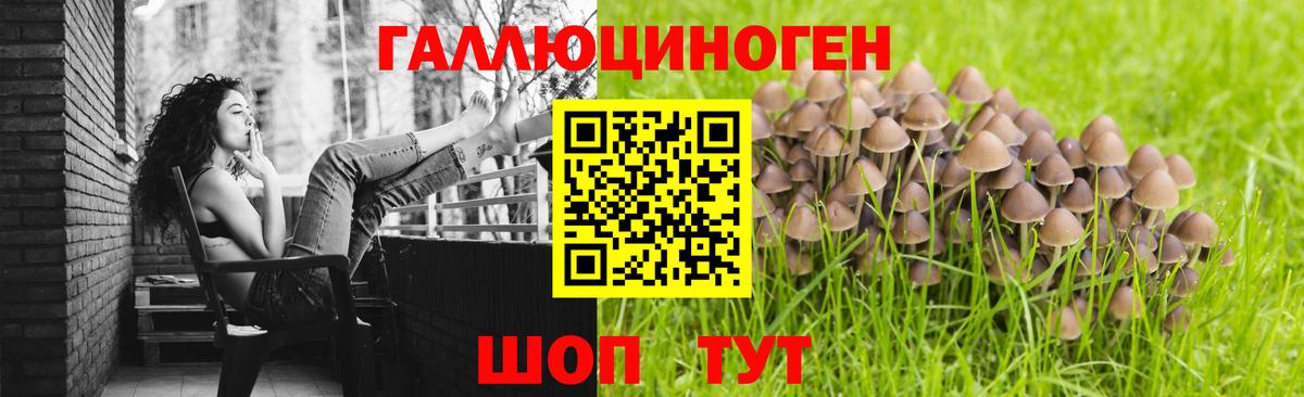 Галлюциногенные грибы Psilocybine cubensis  Вход с VPN  Тосно 